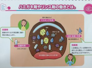 3A49611F-6C53-4F0F-86BB-6614DA163D5C